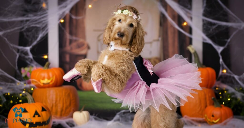 Goldendoodle Halloween 