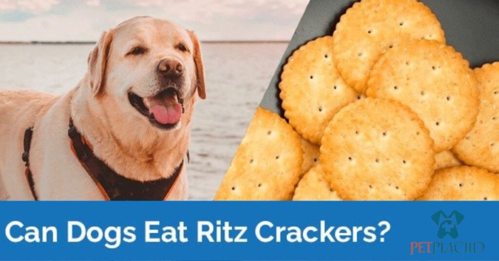 Can Dogs Eat Ritz Crackers