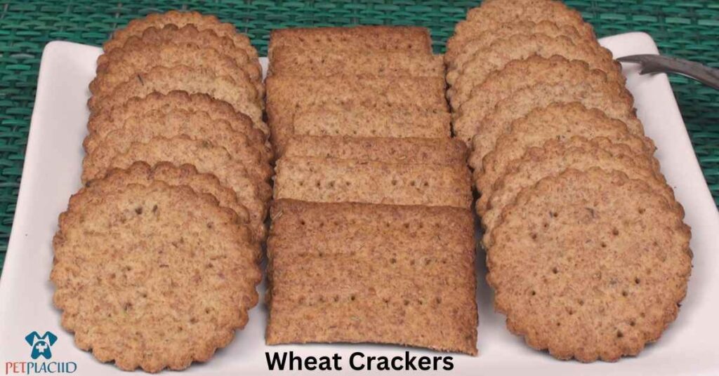 Can Dogs Eat Wheat Crackers