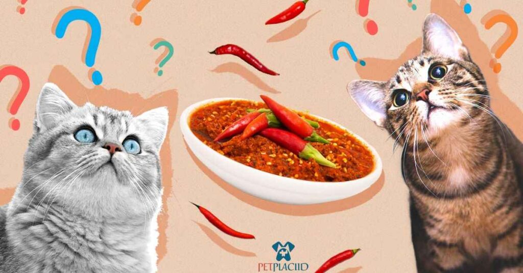 WHY CATS MIGHT BE ATTRACTED TO SPICY FOODS