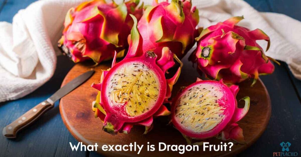 What Exactly Is Dragon Fruit