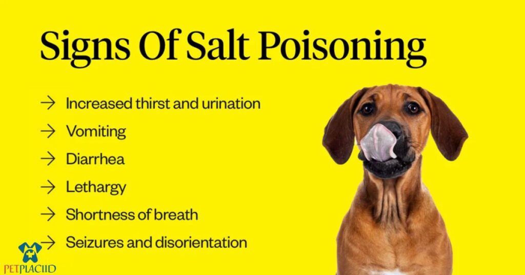 What is Sodium Poisoning